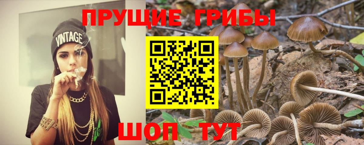 Касимов  Псилоцибиновые грибы мицелий  цена наркотик  Вход с VPN 