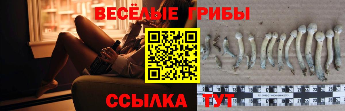 Галлюциногенные грибы прущие грибы Касимов